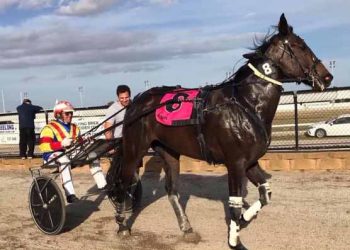 Maternal glow a winning factor for Madena