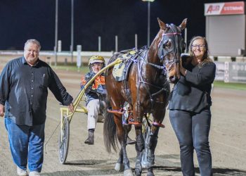 Training partnership to race 16 horses in two days