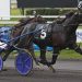 USHWA unveils Dan Patch pacers of the year 4 USHWA unveils Dan Patch pacers of the year