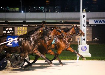 Prairie Westerngal wins nailbiter in Open Pace