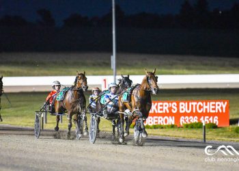 A stallion in the making; Ego crushes ID rivals