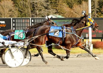 Charlie Hoffman Pace to Sammy The Bull N