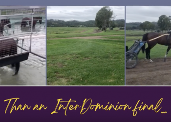 Cobbitty ticking along as “Inter” countdown continues