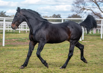 Our Millionaire in the money