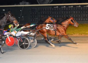 Return to winning ways for Shoobee Doo A