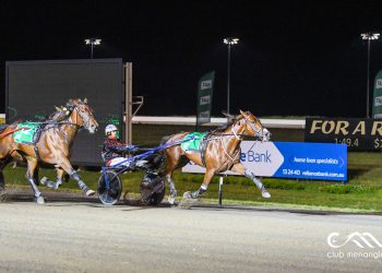 “He’s just a dream come true!”