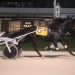 All-age trot record set at Pompano