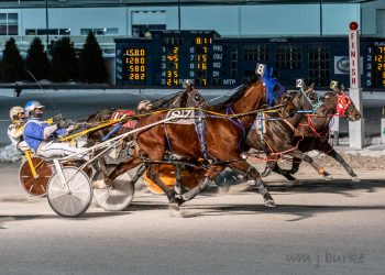 Buffalo Raceway stall applications available