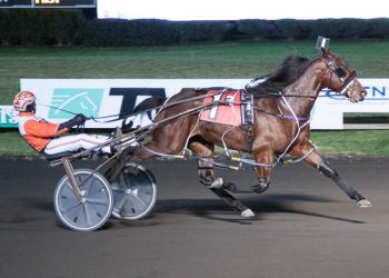 Andy Miller nails down six at Big M