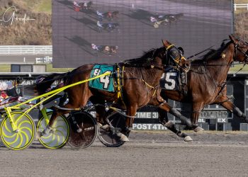 Passing Lane the key to victory at the Meadows
