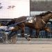Overwhelming favorite too tough in feature trot