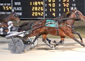 Track record set in Open Trot