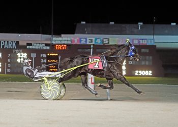 Trotter is now winningest horse in North America