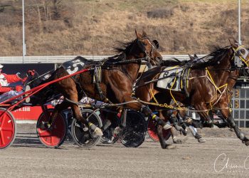 Game, overcovered bid gets upset winner home