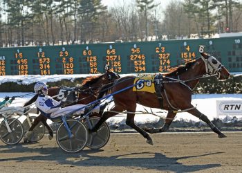 Pro Beach, Dark Pool shine at Freehold