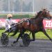 Feydeau Seven wins 120,000€ Prix de Belgique