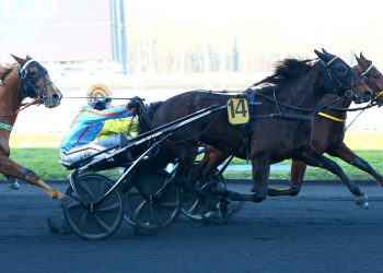 Huwaga wins Prix de Mauriac at Vincennes