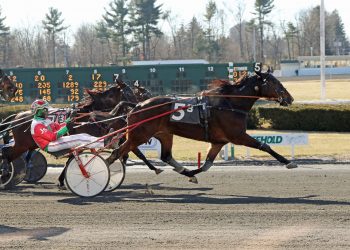 Dark Pool closes fastest of all in AHDC Trot