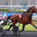 Strong undercard at Vincennes on Sunday 2 Strong undercard at Vincennes on Sunday