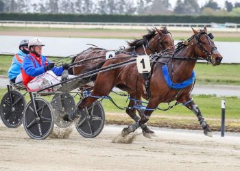 Winning mare up for auction