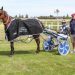 Aardie’s Express super in $20,000 Methven feature 2 Aardie’s Express super in $20,000 Methven feature
