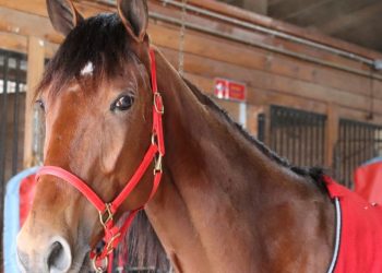 The sky’s the limit for Alexa Skye