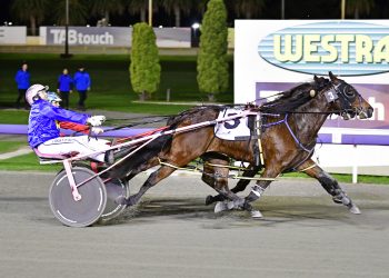 Gloucester Park preview