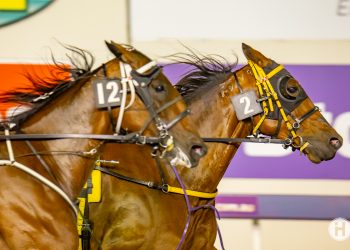 Plan to find the front pays off for Bettors Delight mare