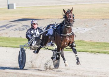 Ravishing Captaintreacherous 3YO chasing Group 1 glory