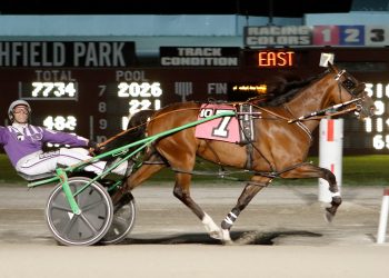 Charlie May is Ohio 3YO Pacing Colt of the Year