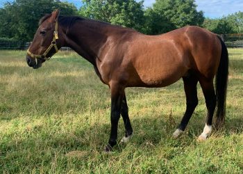 Christian Cullen enjoying retirement at age 27