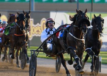 Change of scenery recharges the batteries