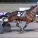Hall of Fame bound pilot wins six including feature