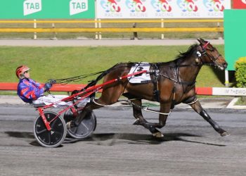 Fifth Albion Park win for Deus Ex