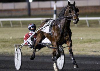 Tharps hopes to relive Big M dream