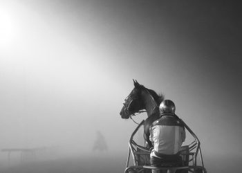 USHWA announces media awards winners