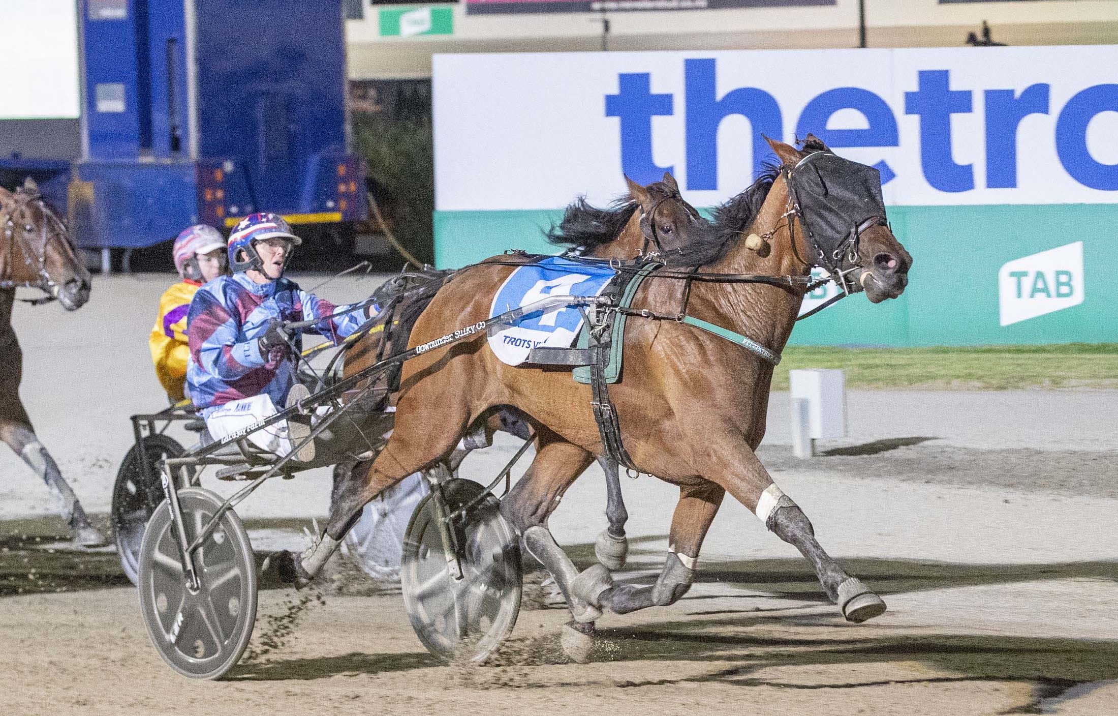 Vicbred Super double