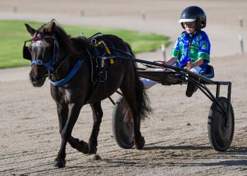 The next generation of stars