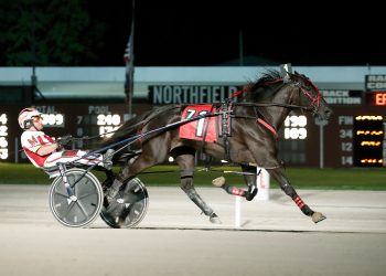 Ohio 2YO Trotting Filly of the Year is Gabbys C Note