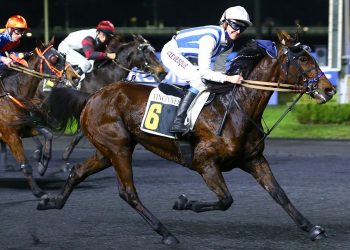 700,000€ Prix de Cornulier monte draws 15