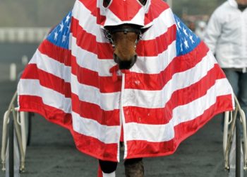 Prix d’Amerique Sunday is world’s richest harness race