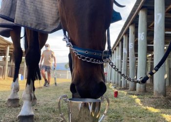 Big Ben set to keep rockin’