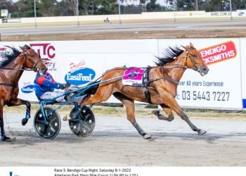 Im Ready Jet crowned new trotting queen
