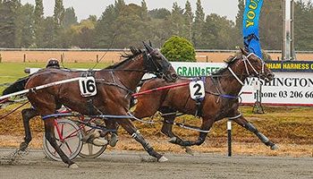 Thoroughbred master trainer enjoys success