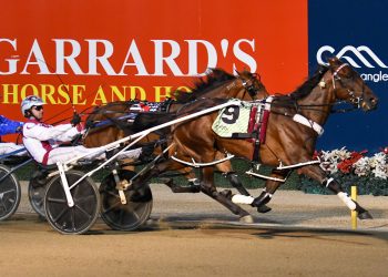 Alchin’s three-year-olds ready to shake things up