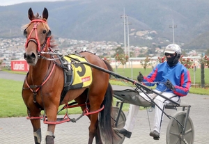 78-year-old Devonport trainer ends a run of outs