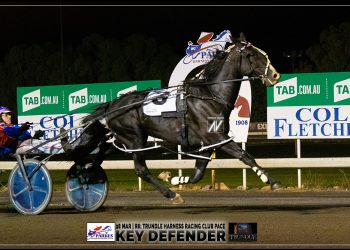 Horse of the Year comes down to the wire