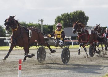 Iron horse performance in Northern Southland Trotting Cup