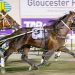 Gloucester Park review