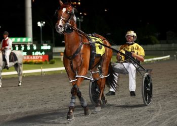 Queensland harness racing wrap